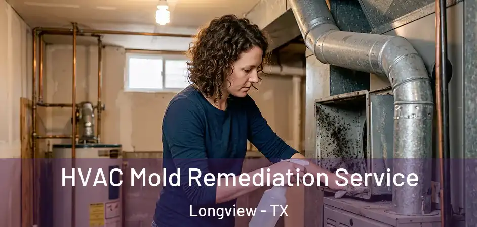 HVAC Mold Remediation Service Longview - TX